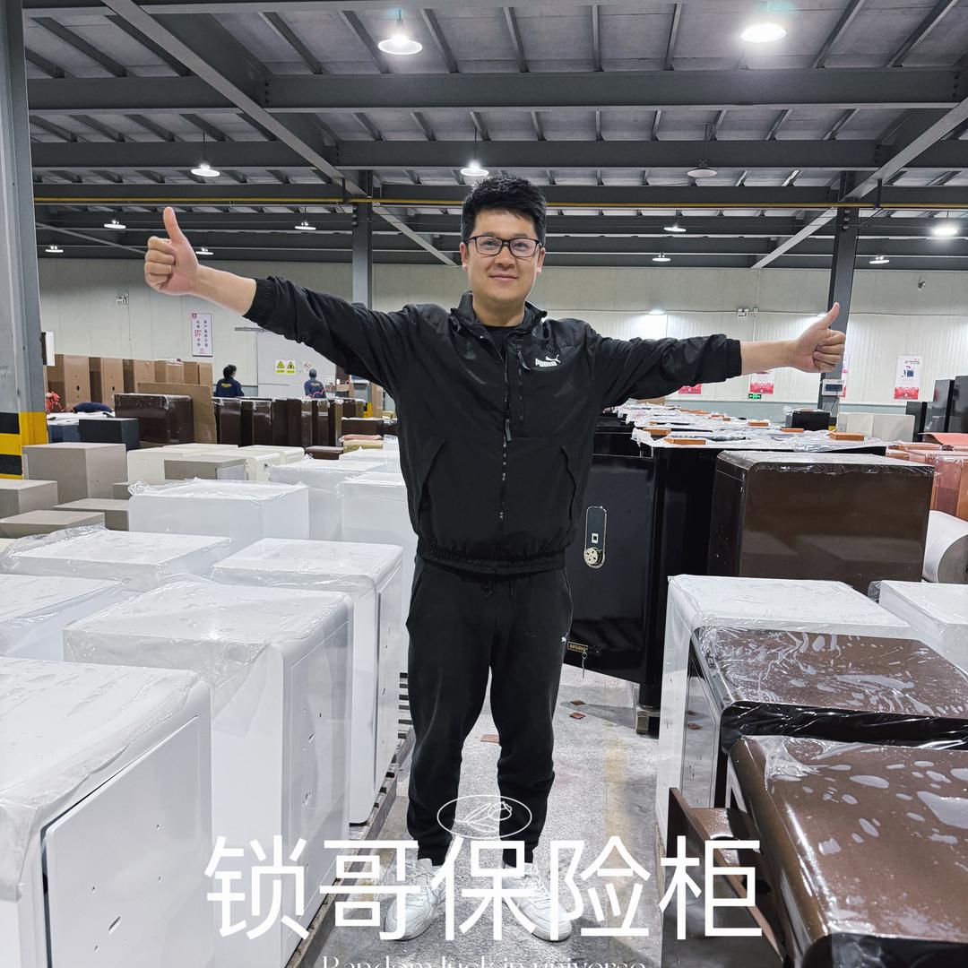 锁哥保险柜安全屋利平
