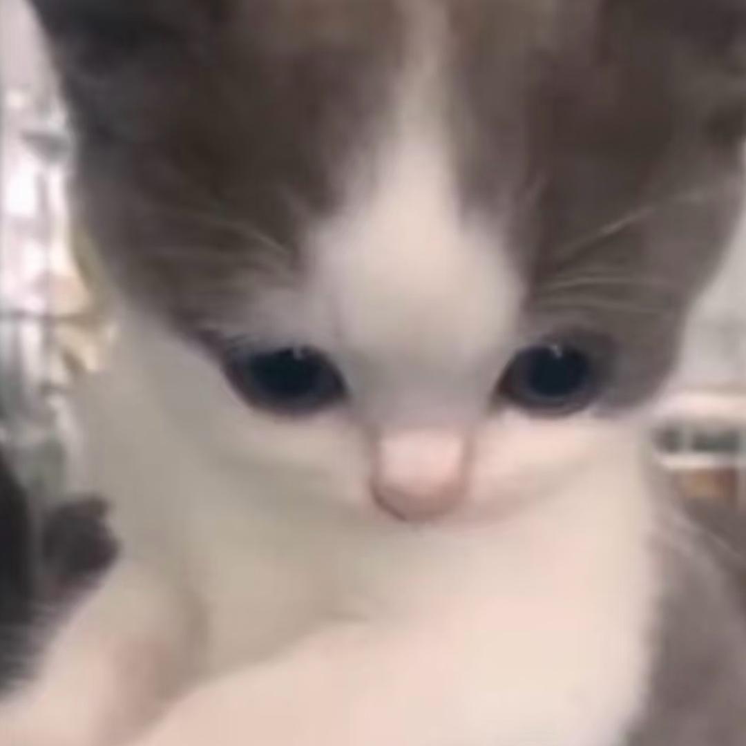 我很困困