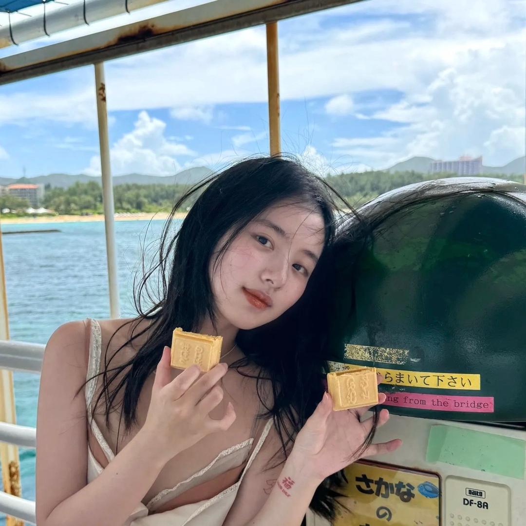 🧊爱吃渡渡鸟