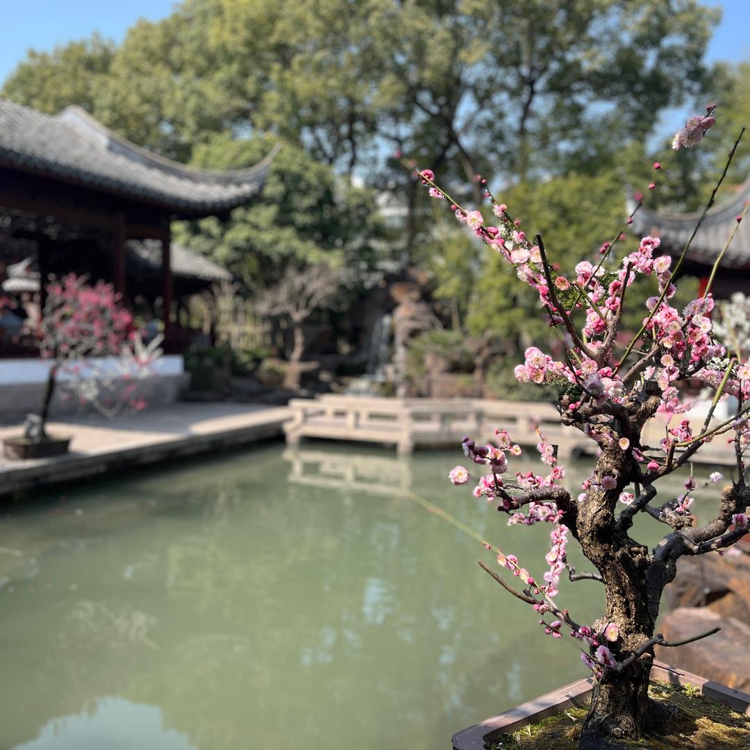 骑士橙