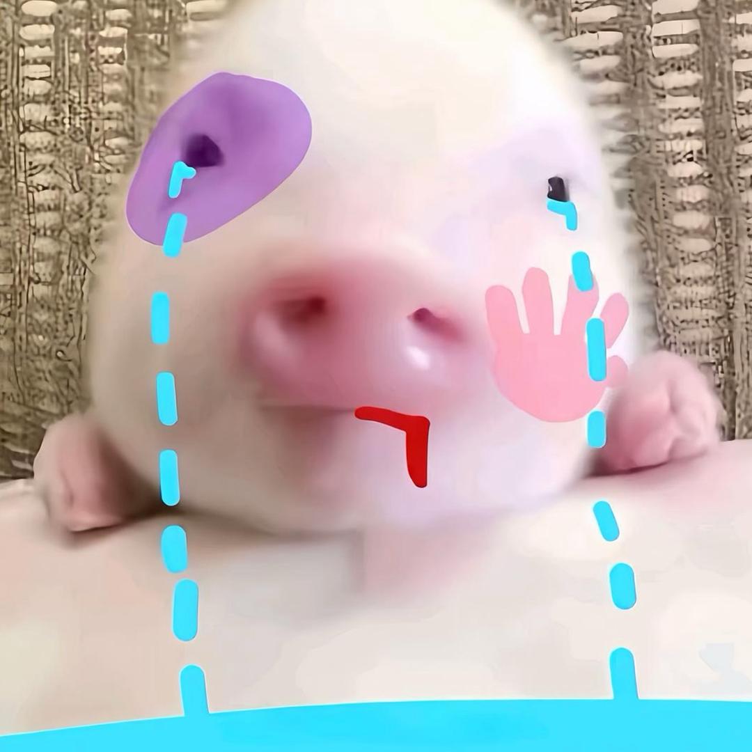 悲伤的玉米战士