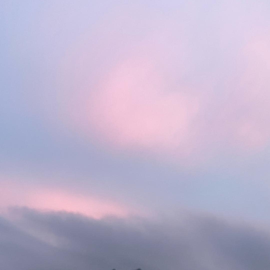 小小橙