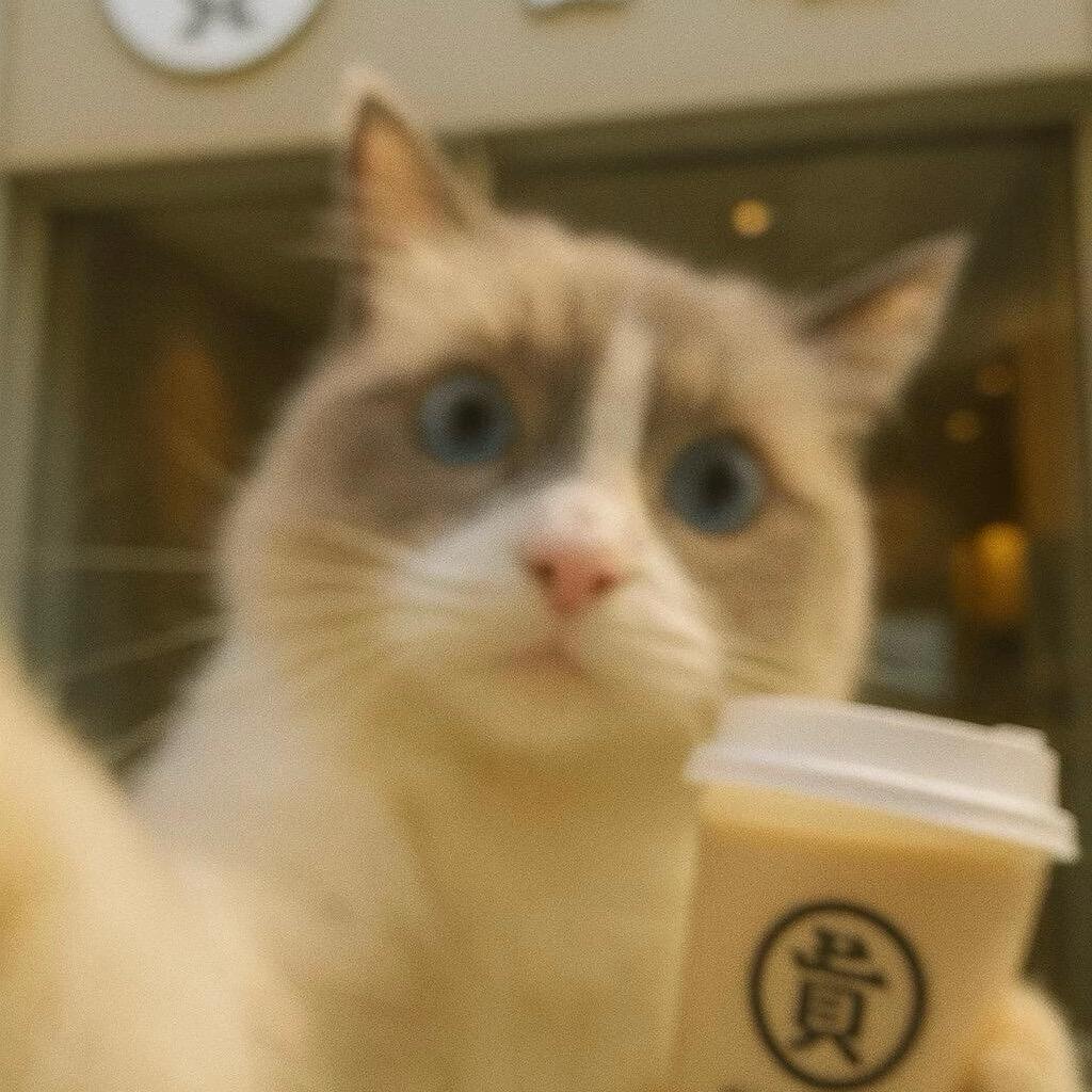 拾一