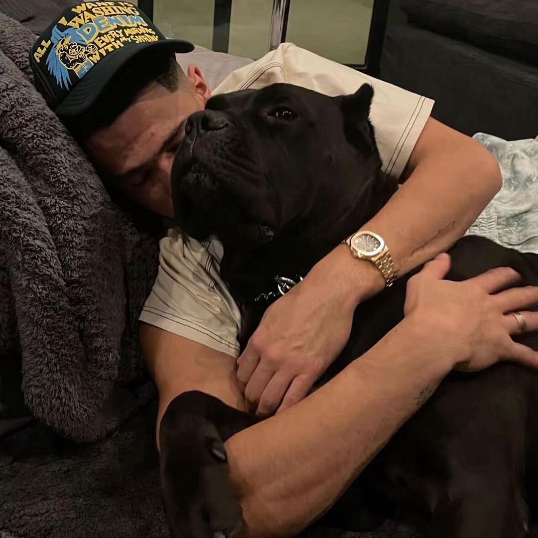 ㅤㅤ ㅤㅤ ㅤㅤ