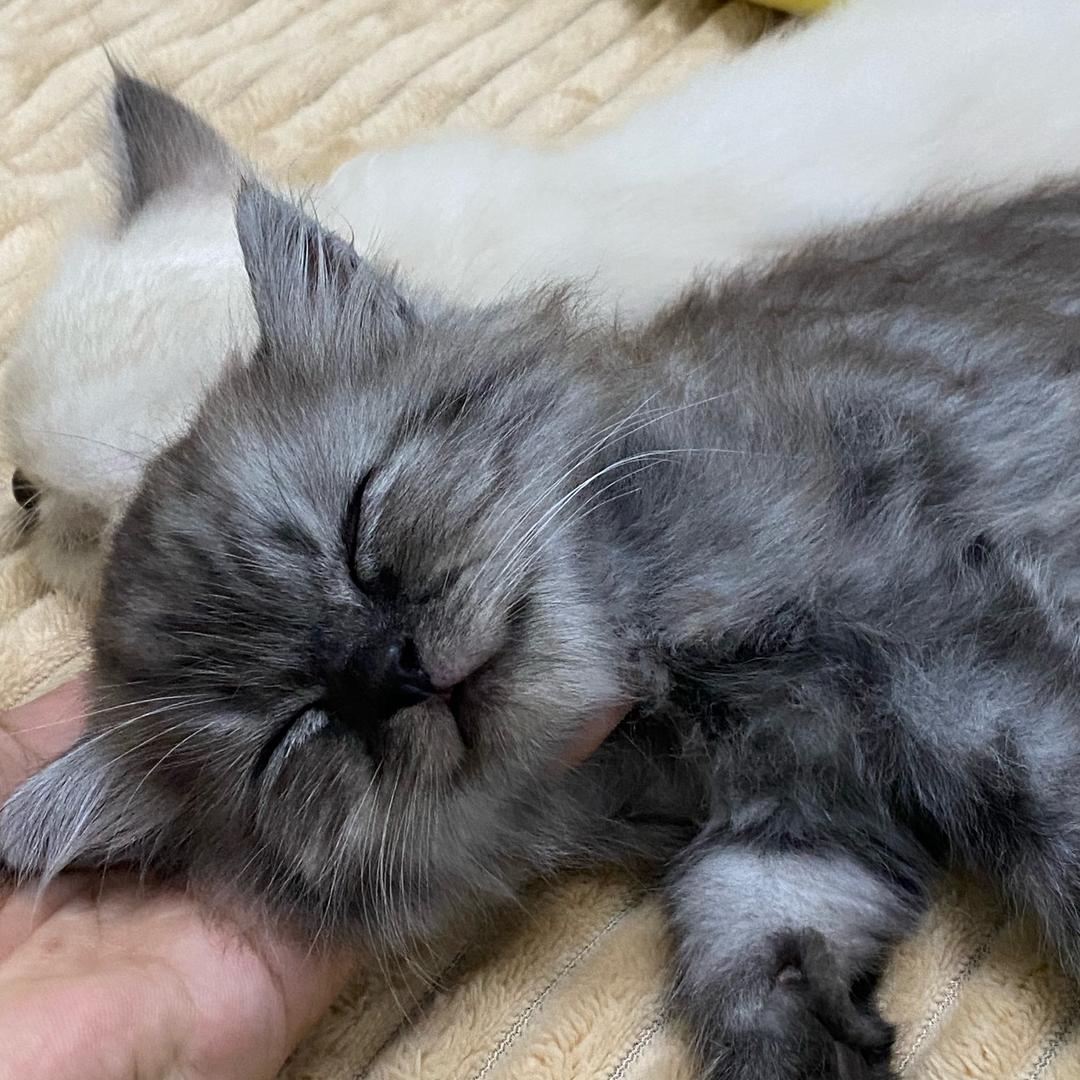 赵财财