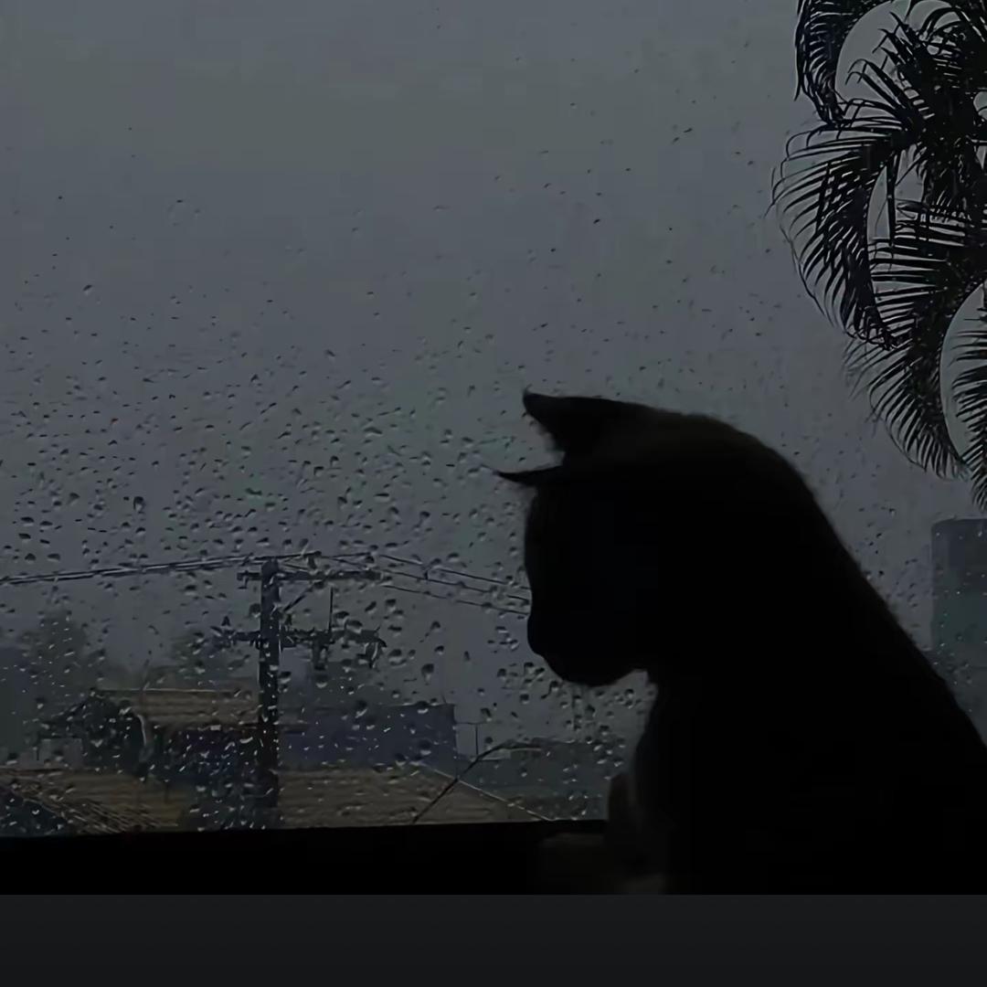 莫过于感情
