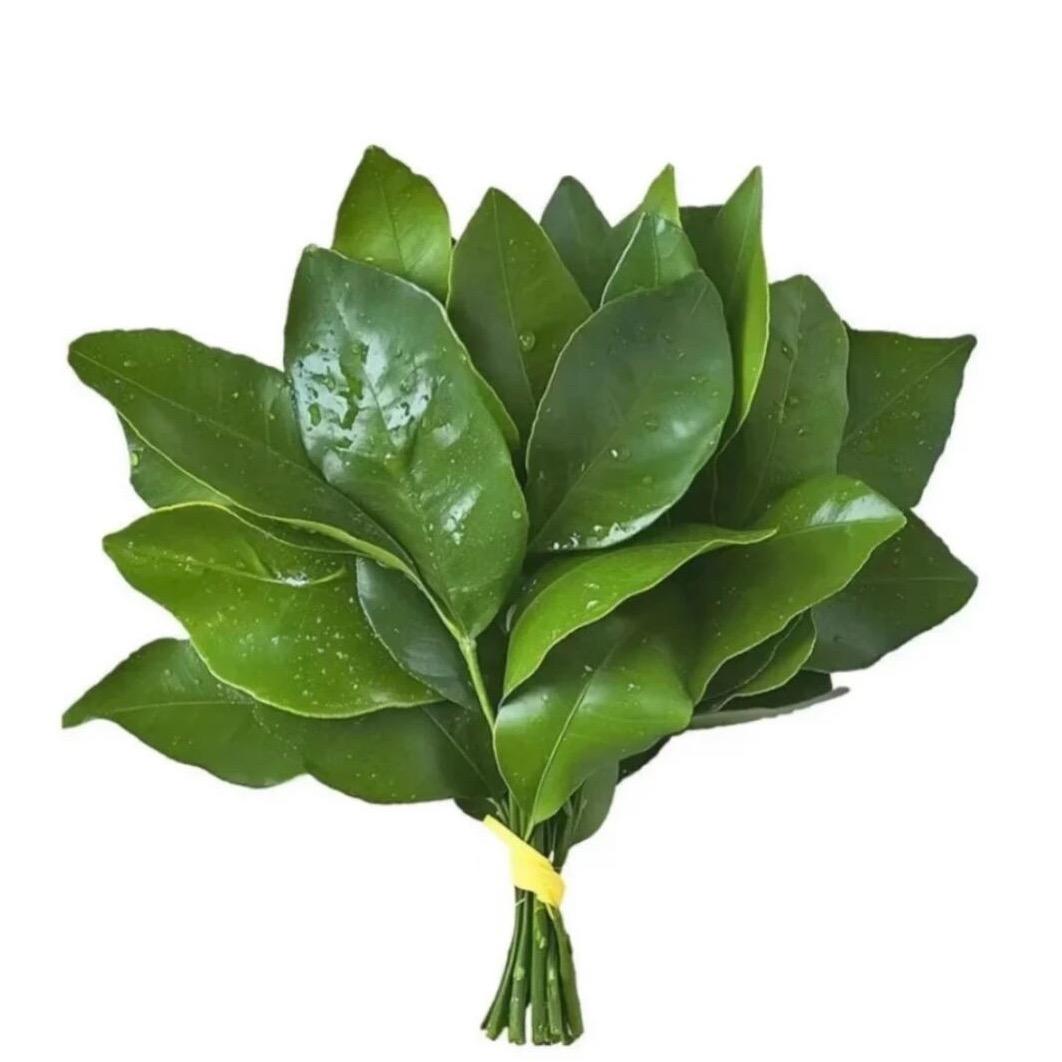 你是个臭狗屎