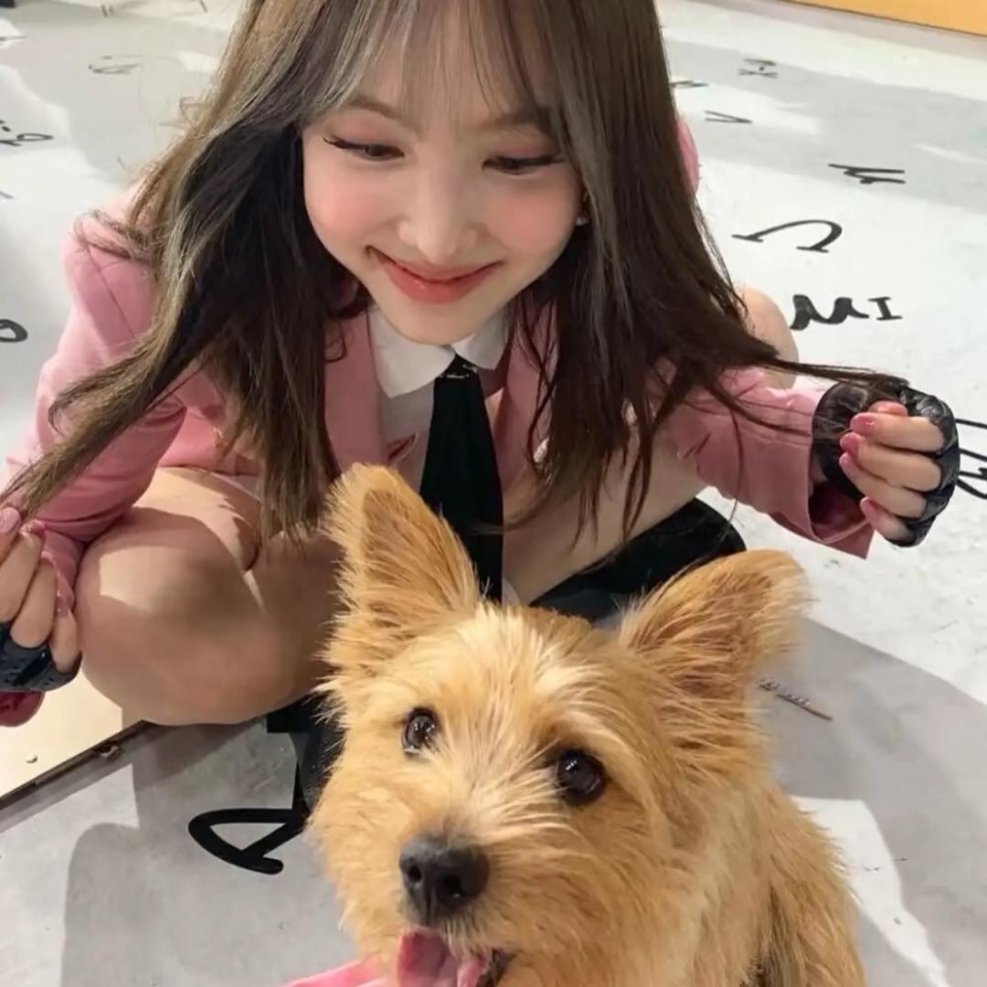 好运滚滚来之我爱吃薯条