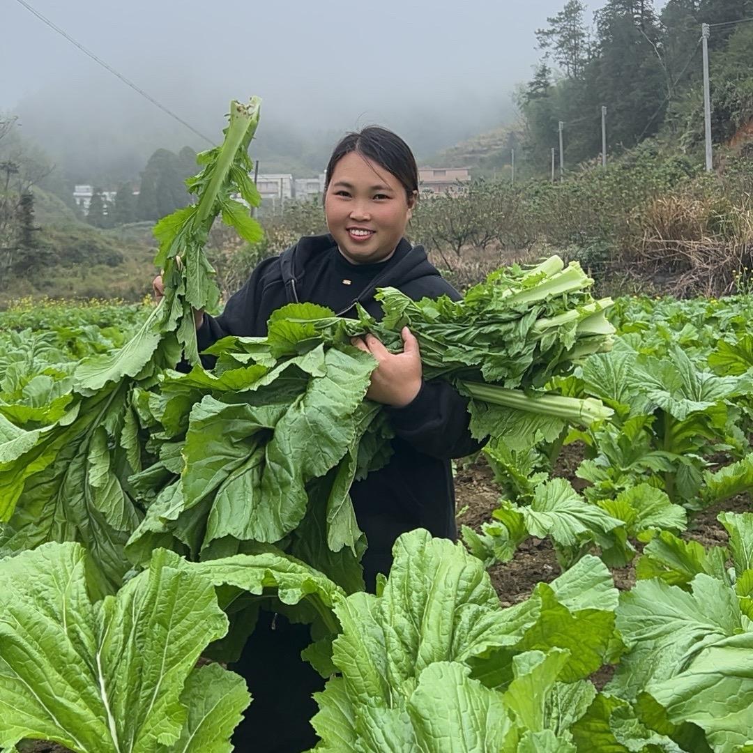 客家凤姐