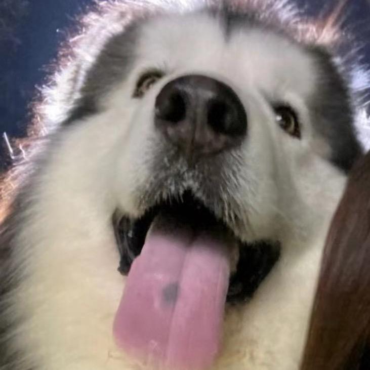 浪潮席卷