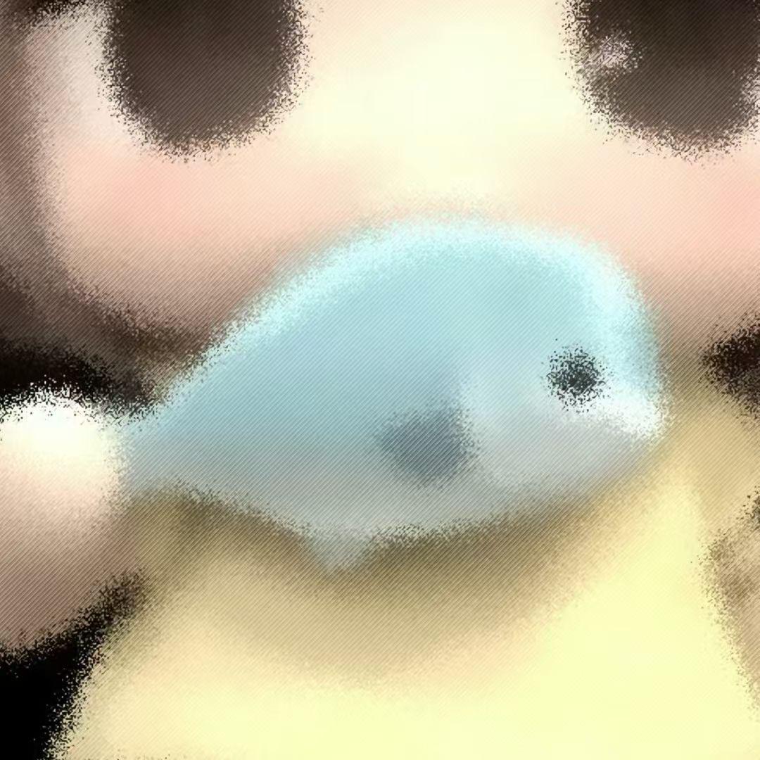 鸡蛋🥚（组局招🔫