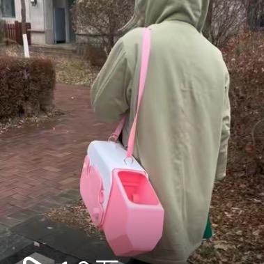 皮皮→暴富