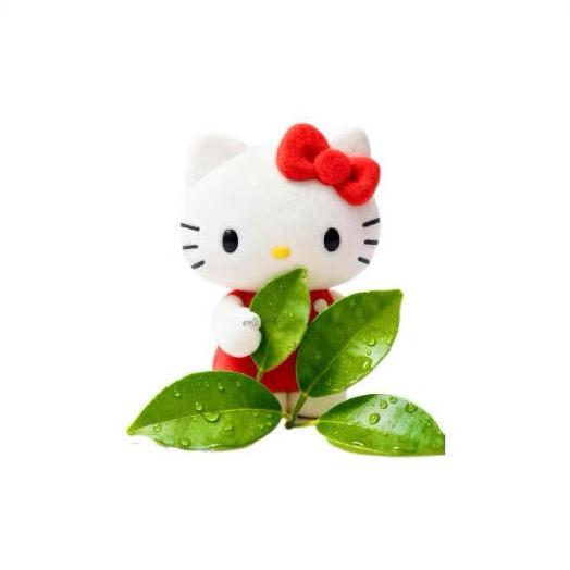柠檬