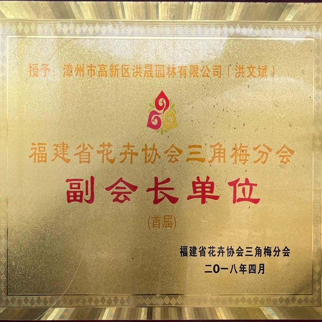 洪卉长三角梅