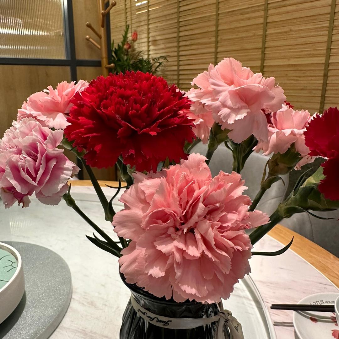 吃小白兔的胡萝卜