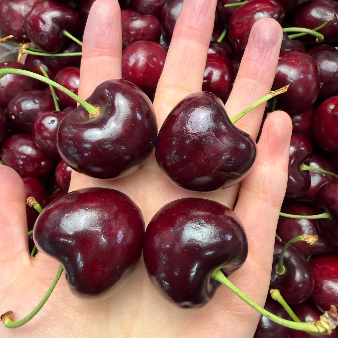 阳光车厘子自由