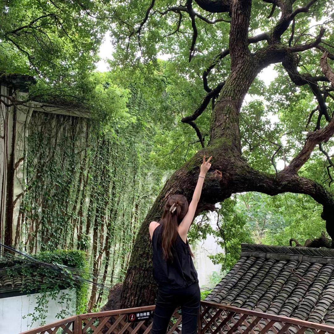玲妹妹💃