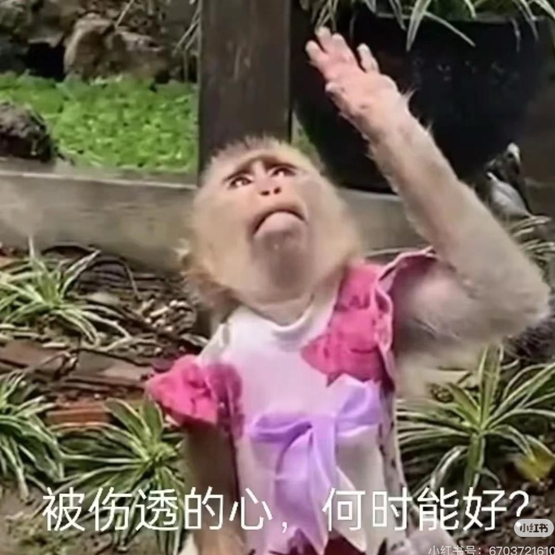 🐳（精神不正常版）