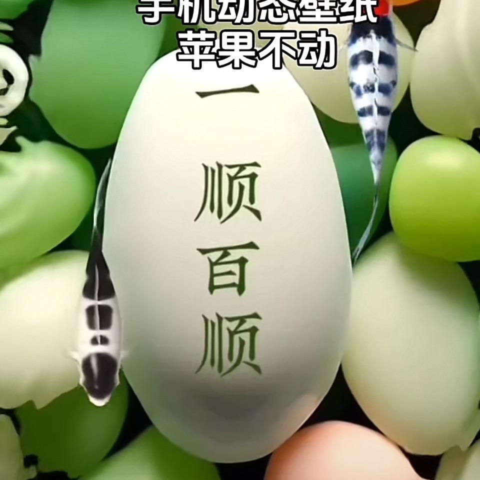 壹嘉鲜果铺