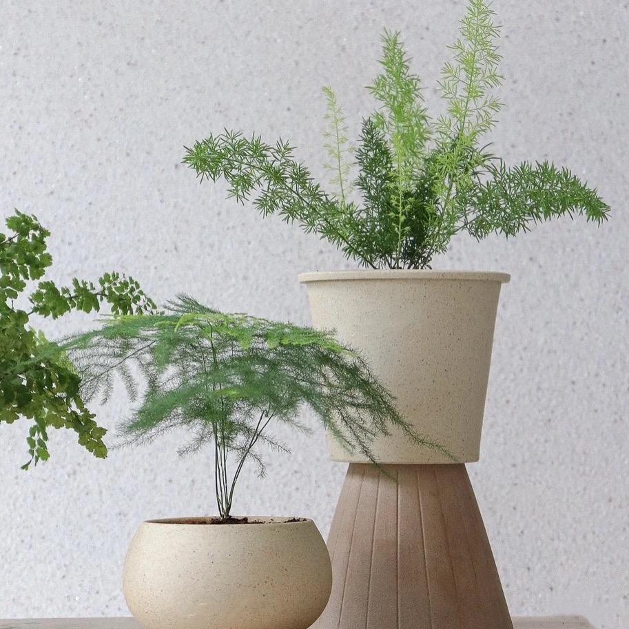 卖花盆的小姐姐