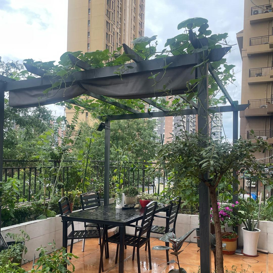 小院小娃和毛孩子🐶