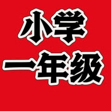 一年级拔尖资料6