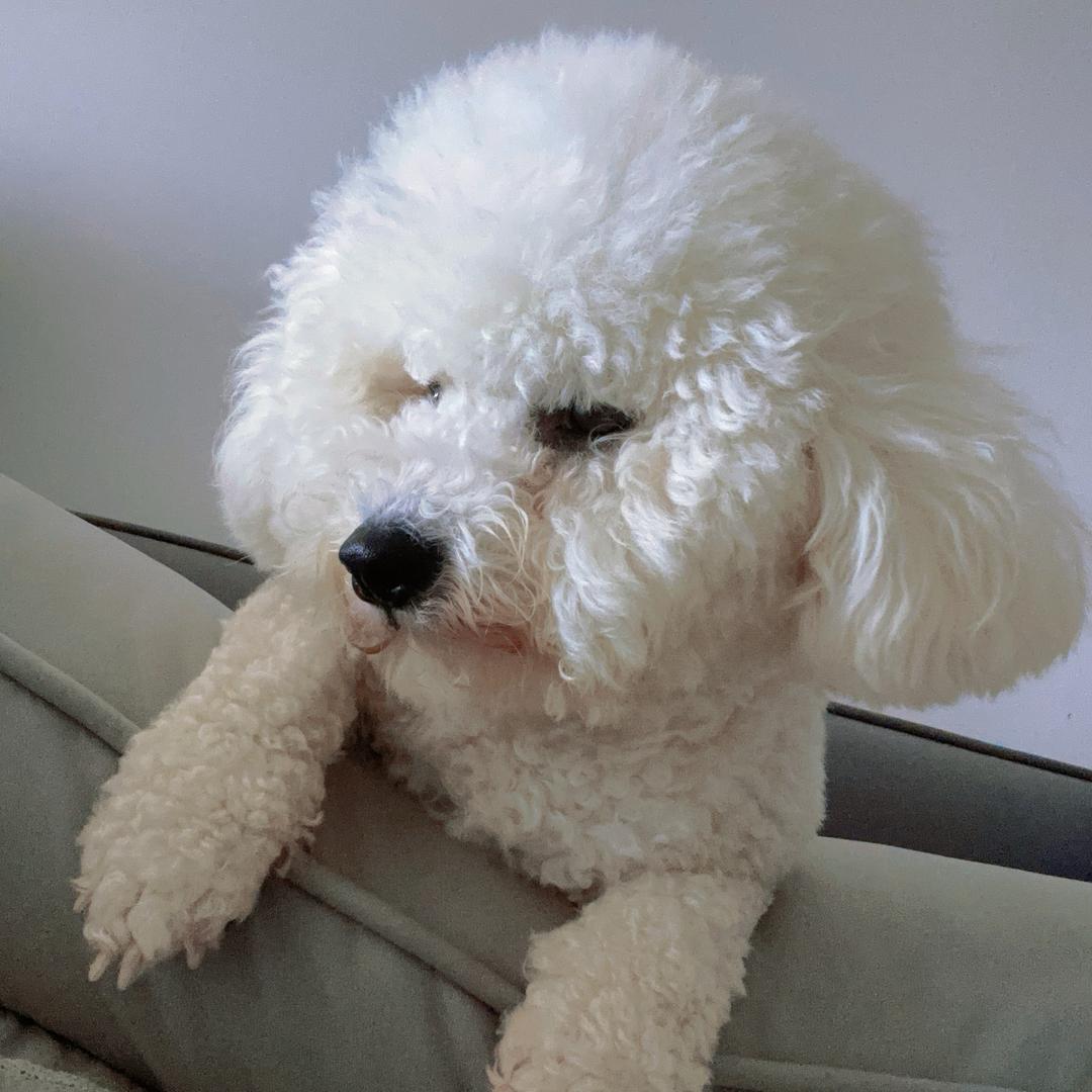 高儿（减肥ing）