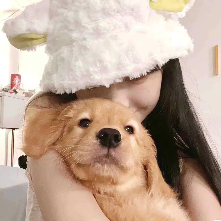 艺恩🍋