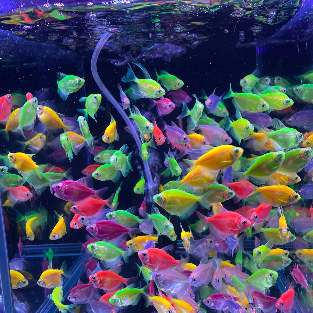 水宠世界水族馆