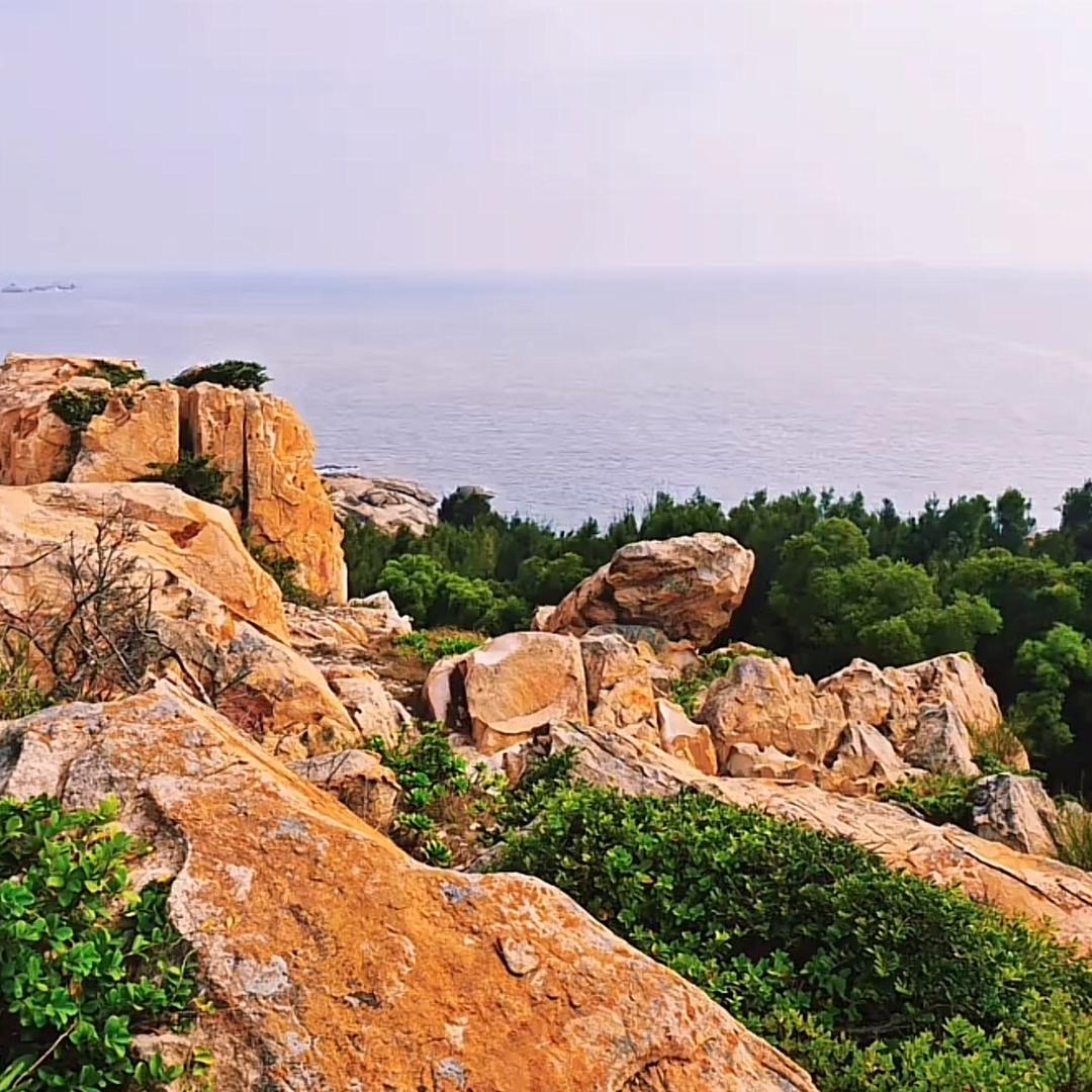 ☘️亦辰🍒🌈