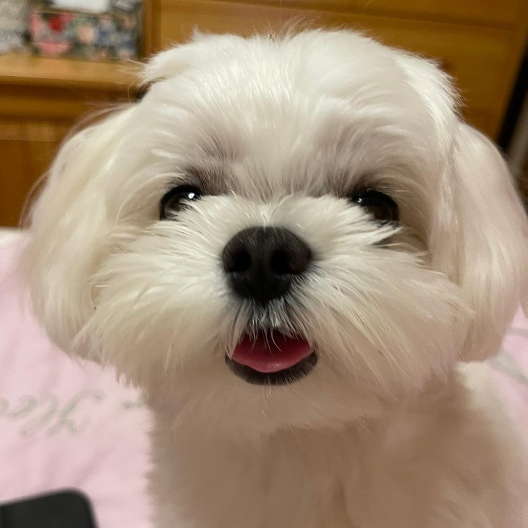唐