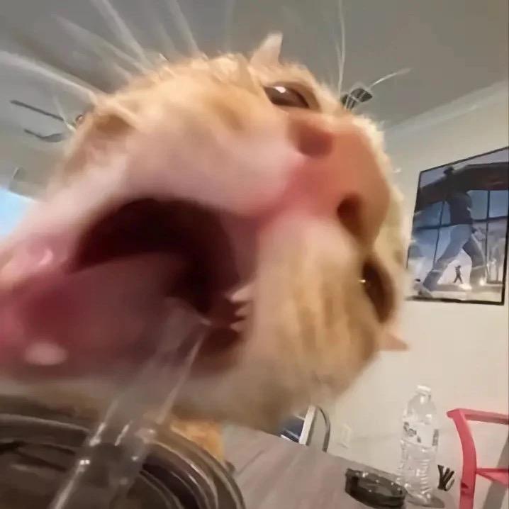 牛爷爷cos性感猫娘勾引隔壁人妻壮壮妈