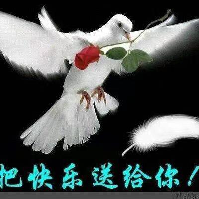 好人一生平安