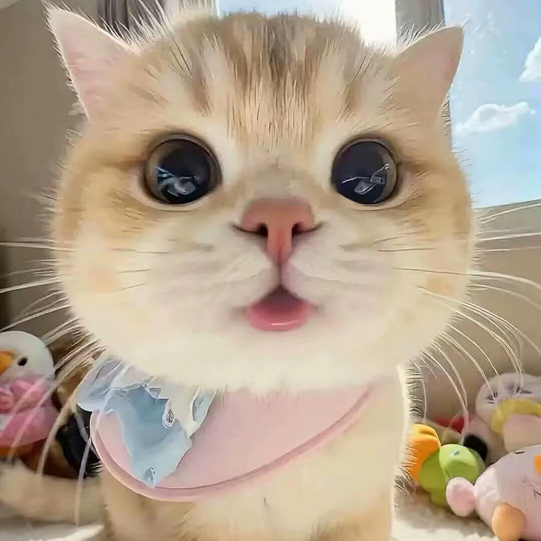 小惠๑