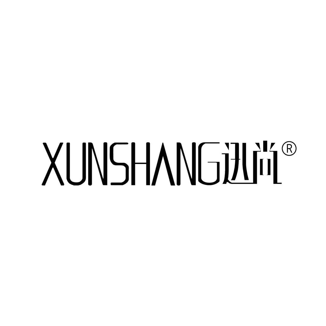 迅尚德匠专卖店