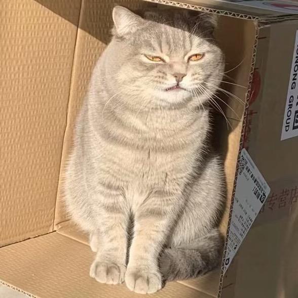 你们看到我的夏天了吗
