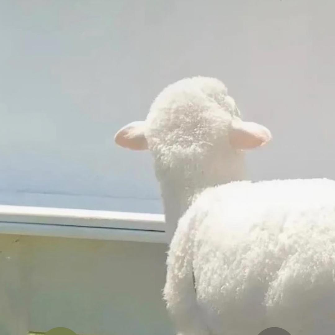 何二佳