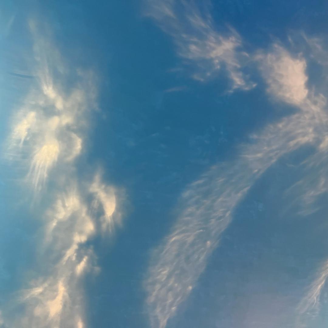 毛毛雨