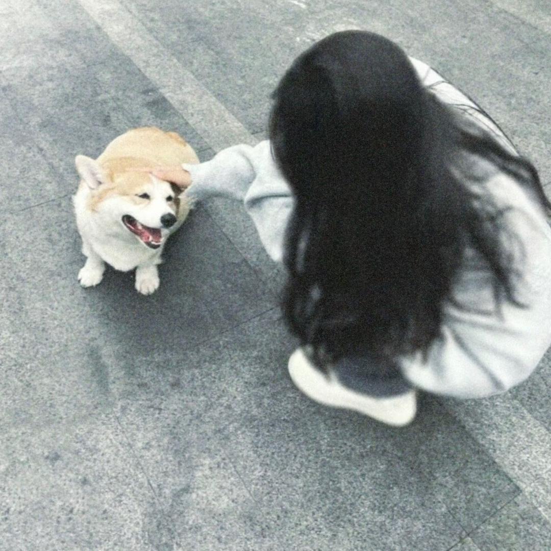 ㅤㅤㅤ   ㅤㅤㅤ喵喵