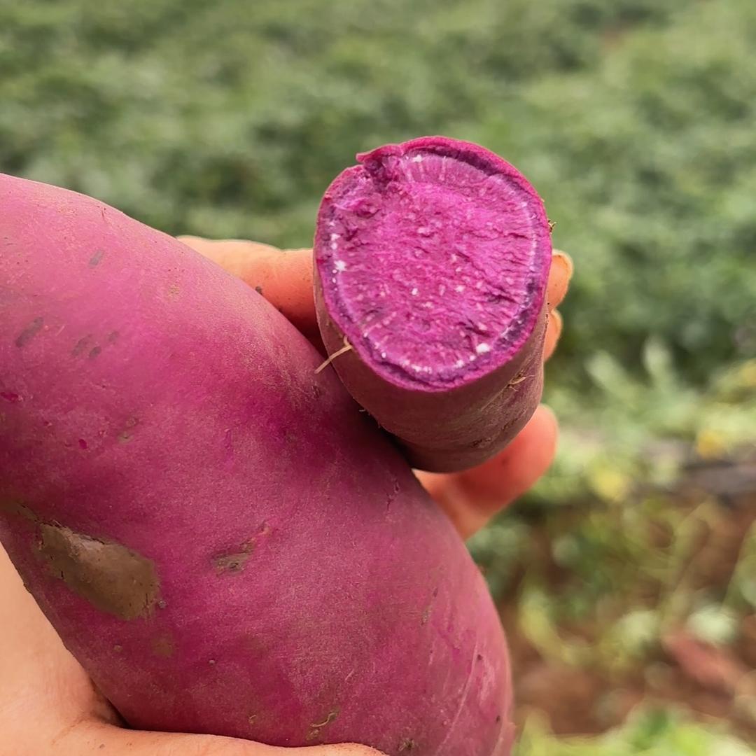 益禾农家蔬菜瓜果代办