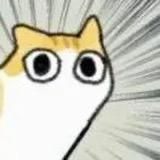 啊好困