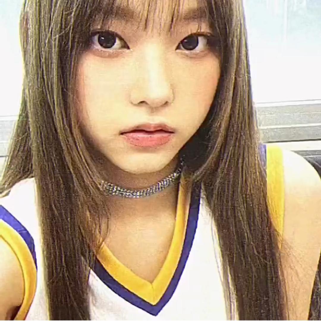 （爱新裤子版🐰