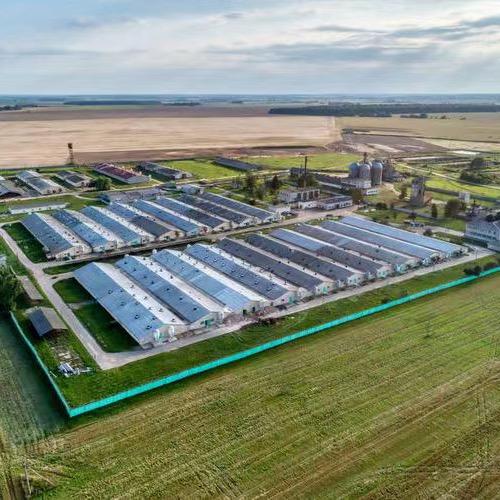 亳州农业（养殖）