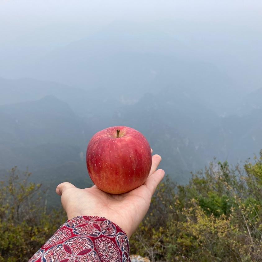 爱果志