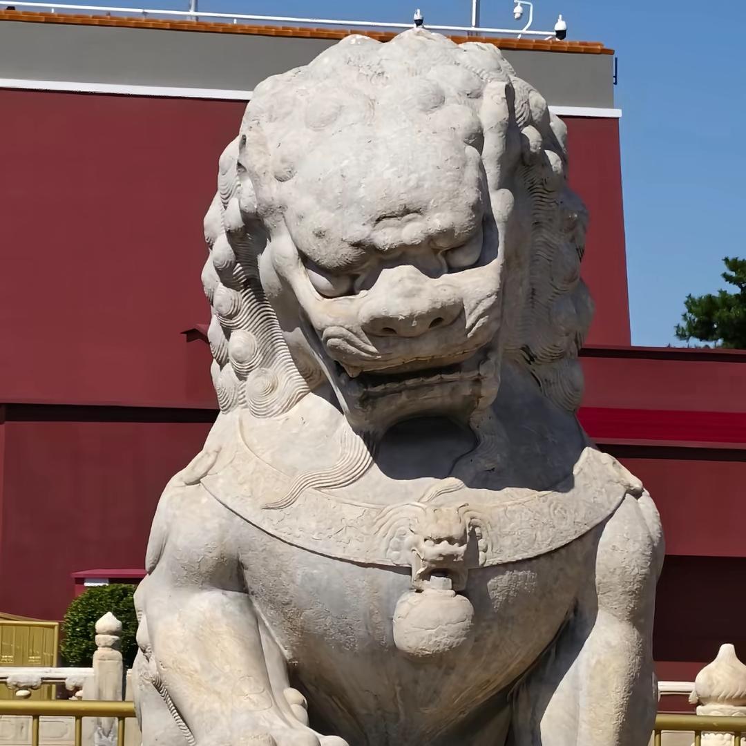 日天