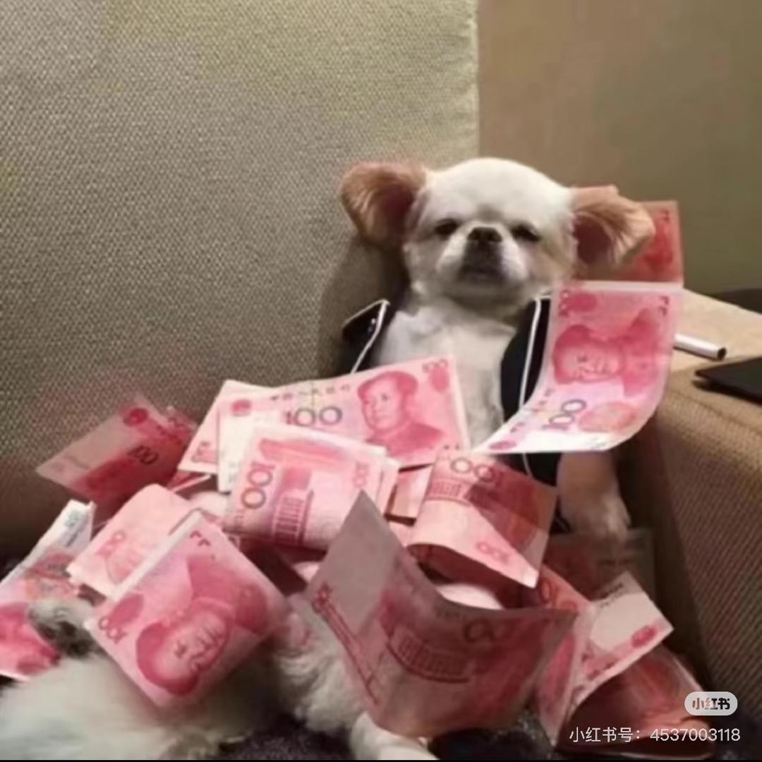 鯎