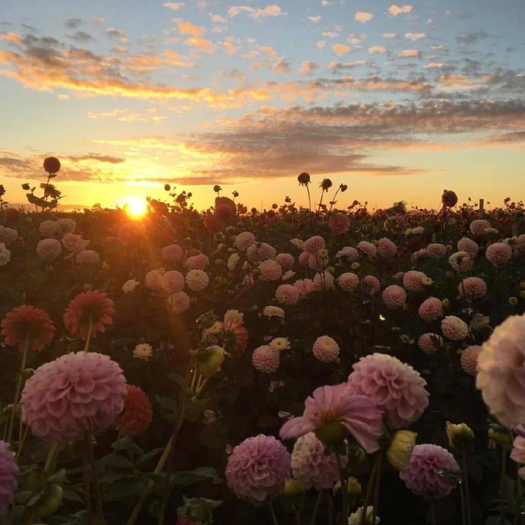 南通熙雯有限公司徐厂长家纺店直播间