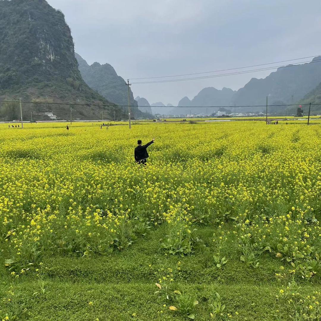 小飞啊