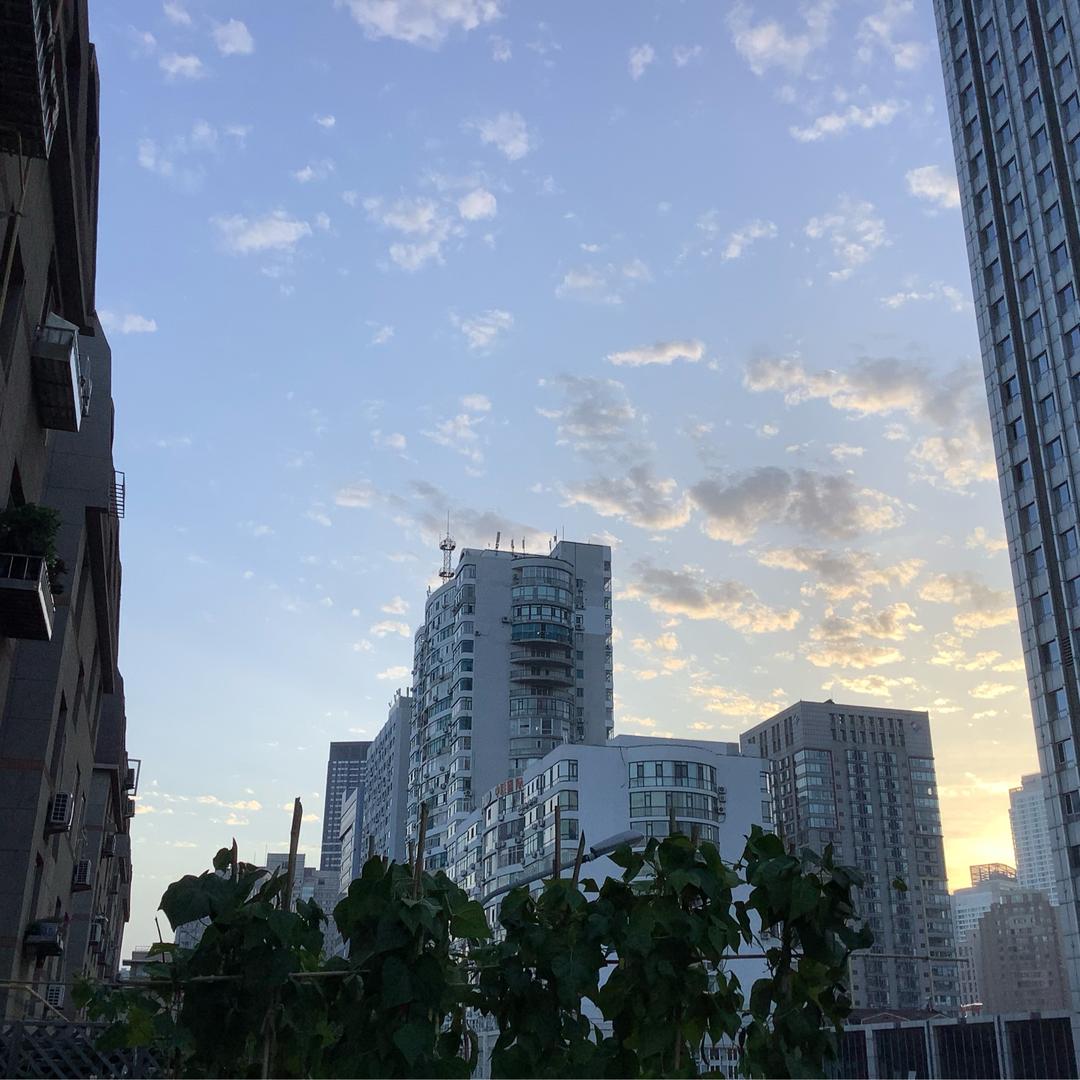 醉羽春
