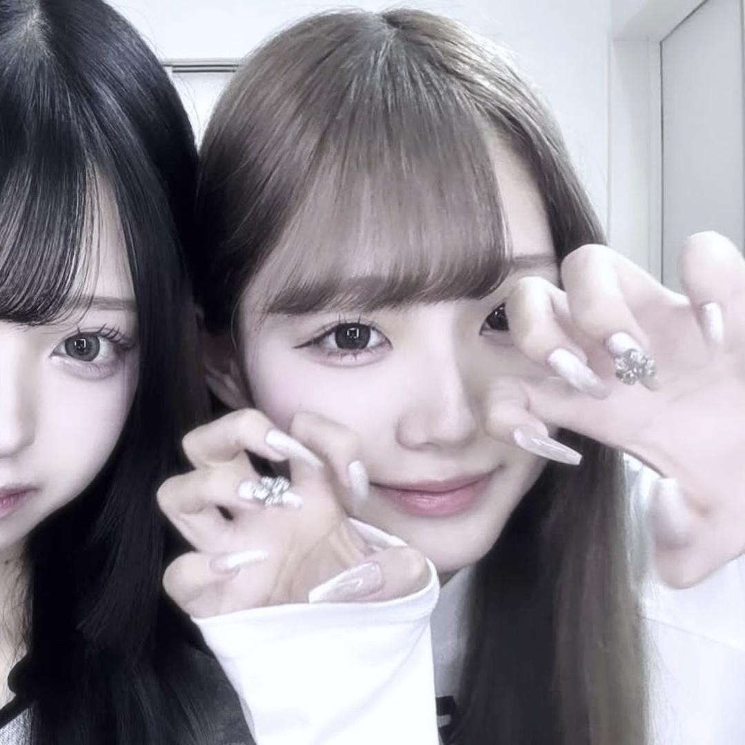 Ar.年糕起司猫17t